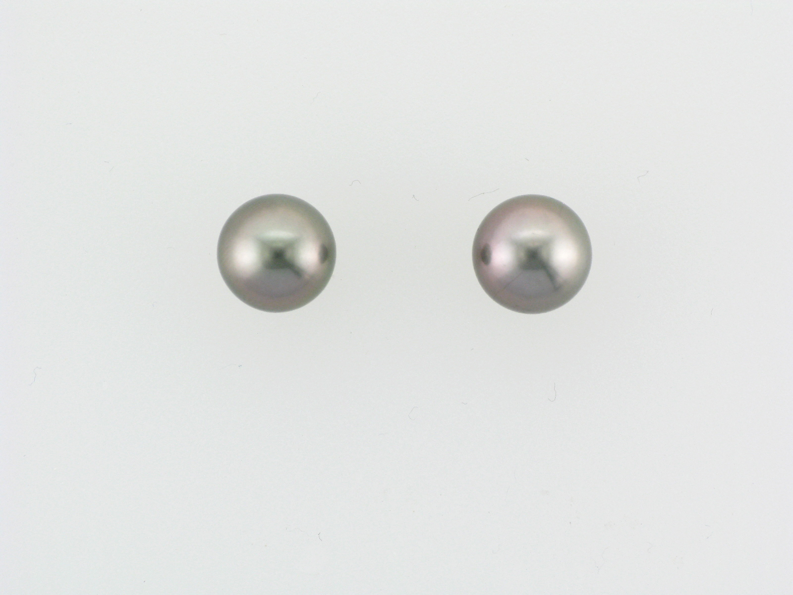 Light Grey Tahitian Pearl Earrings
